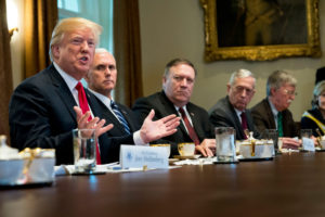 President Trump and his cabinet, the supposed “Adults in the Room”