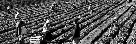 farmworkers